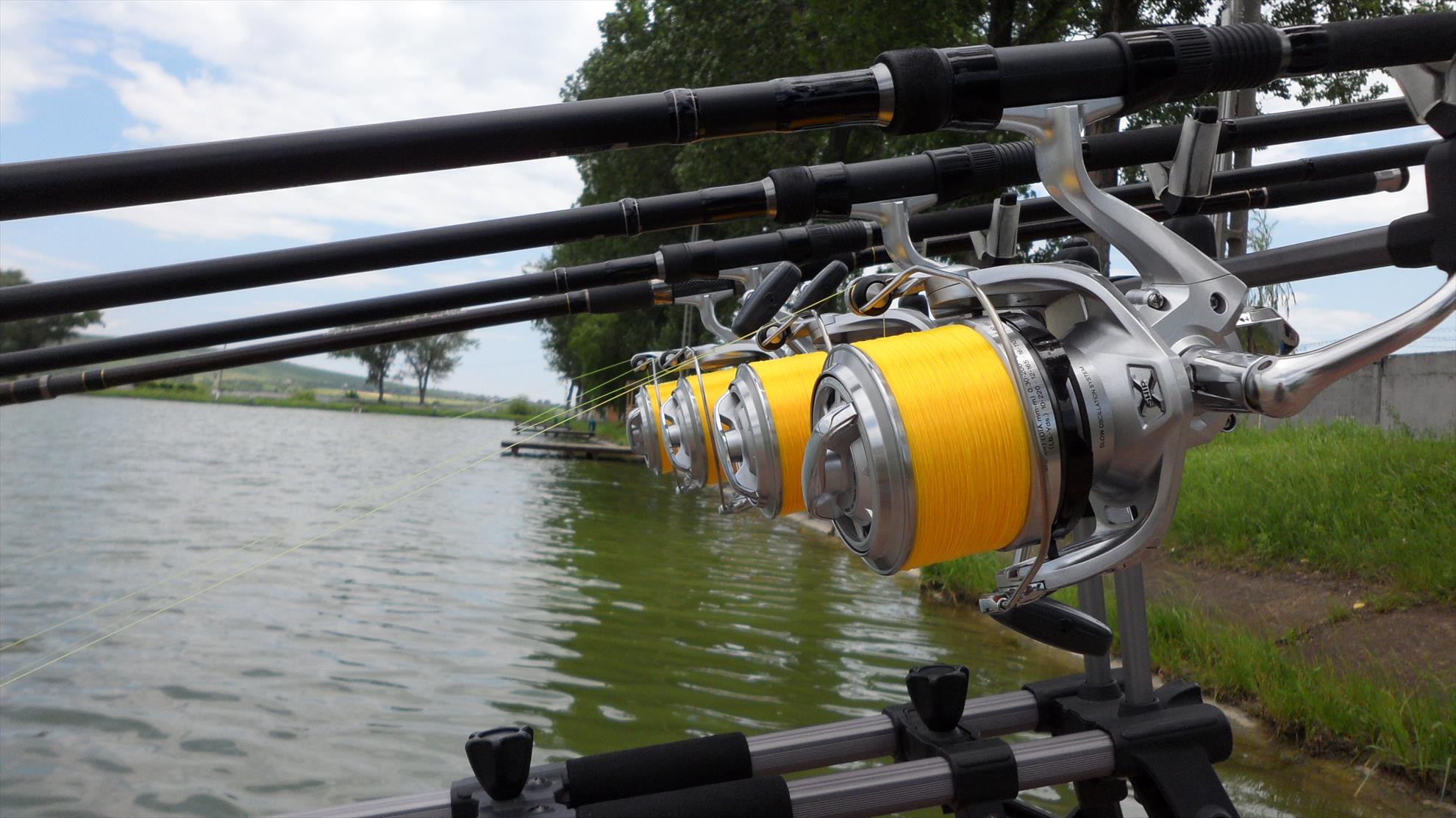 Pleasa1 23 iunie 2014 - sam3208.JPG